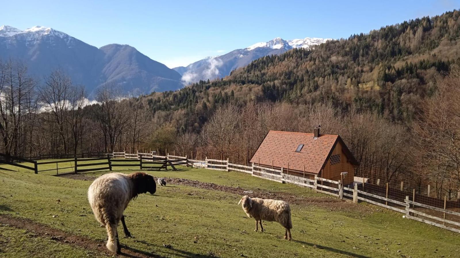 Chalet Navauce Raveo Экстерьер фото